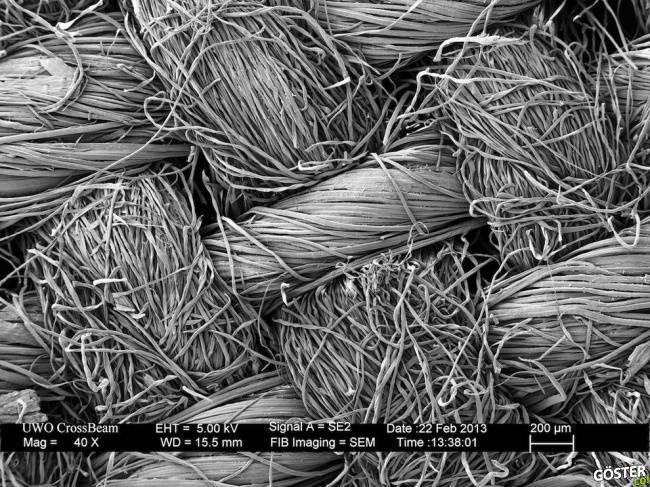 9700710-R3L8T8D-650-23