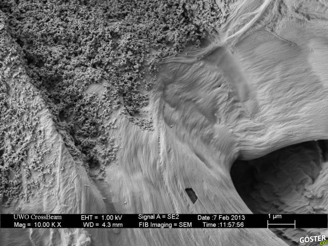 9700760-R3L8T8D-650-9