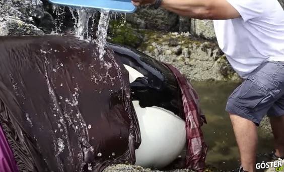 Ölmekte Olan Balinayı, Sabırla ve Azimle 8 Saatte Kurtardılar
