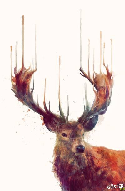illustrations_by_amy_hamilton_1
