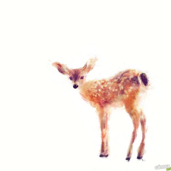 illustrations_by_amy_hamilton_10