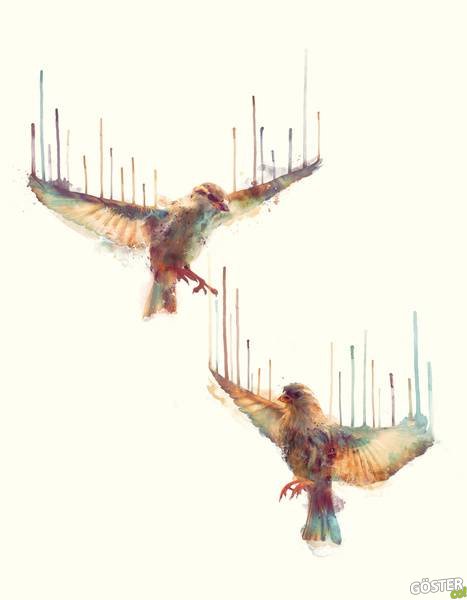 illustrations_by_amy_hamilton_11