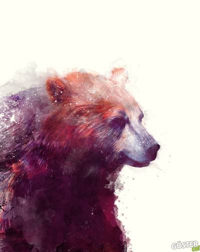illustrations_by_amy_hamilton_13