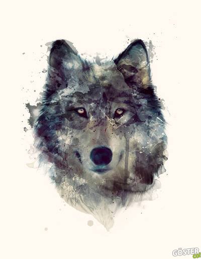 illustrations_by_amy_hamilton_14
