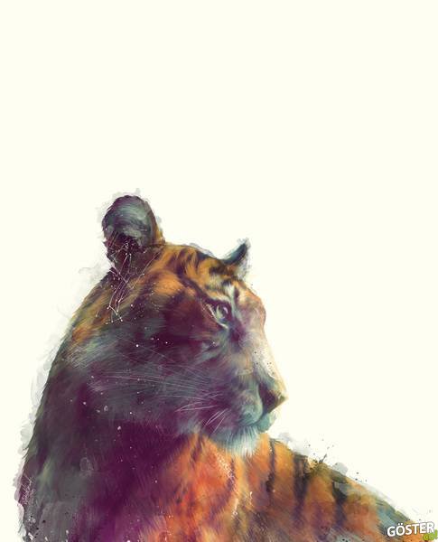 illustrations_by_amy_hamilton_2