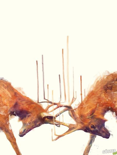 illustrations_by_amy_hamilton_3