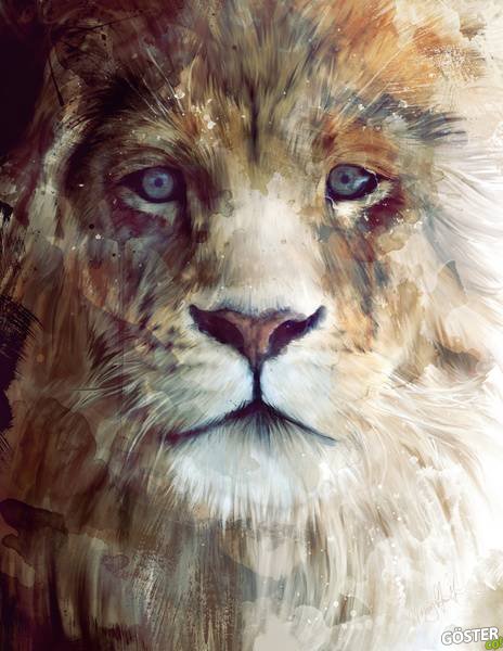 illustrations_by_amy_hamilton_5
