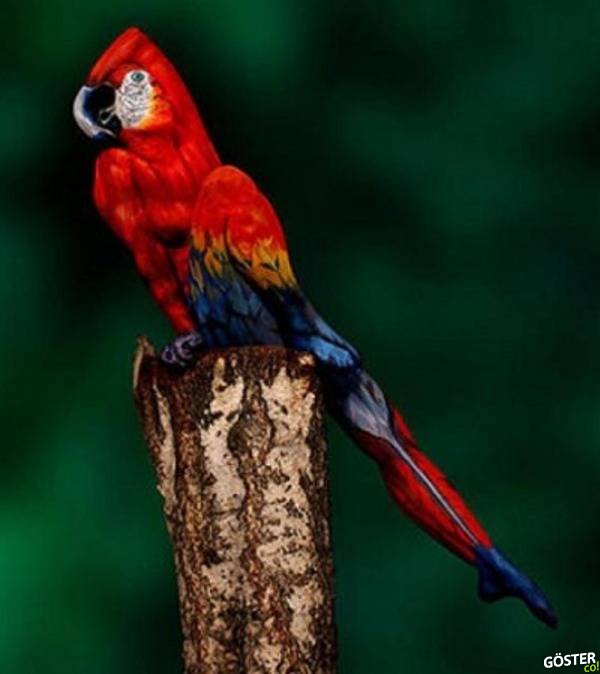 incredible body art incredible body art