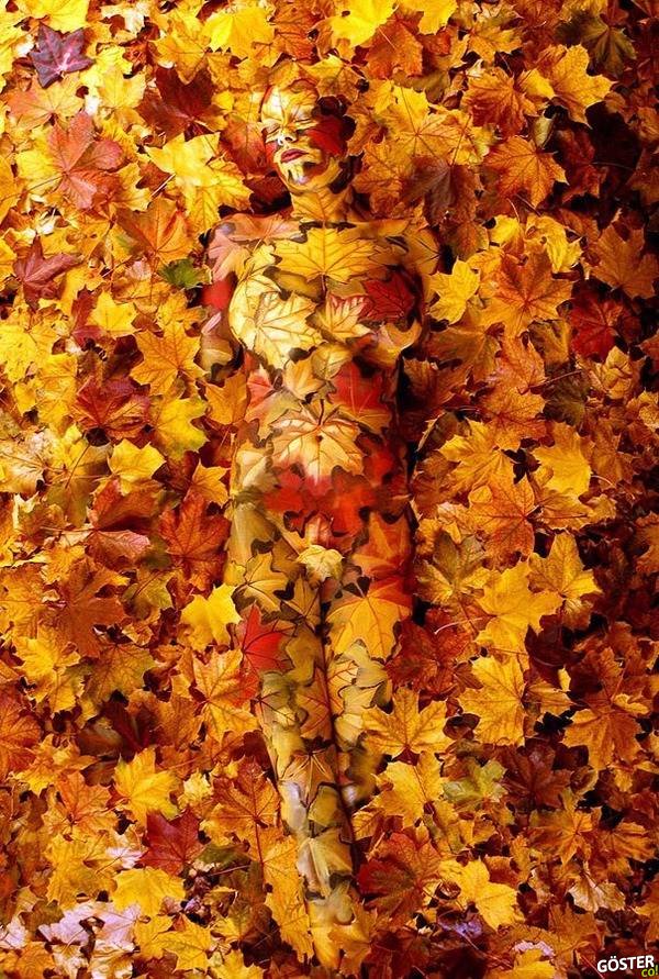 incredible body art incredible body art