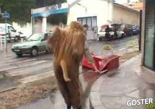 En İyi Gerçek Hayat Trollemeleri (İzlemesi Keyifli, Yaşaması Can Sıkıcı)