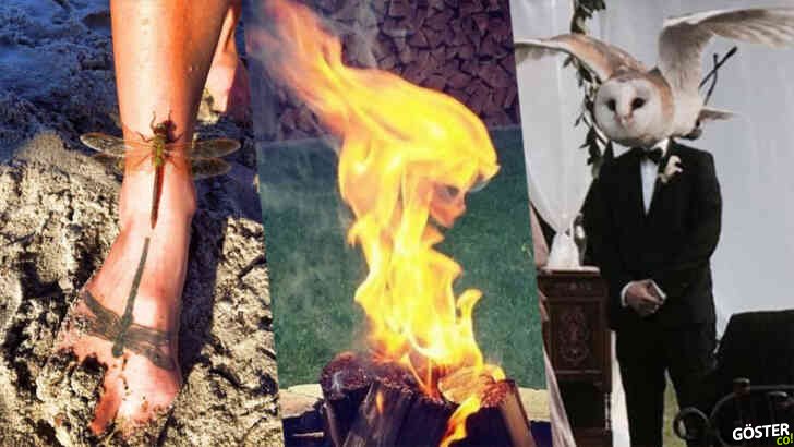 Fotoğrafta zamanlama ve açının önemini gösteren 13 eşsiz örnek