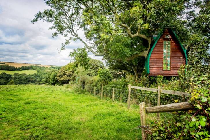 Tree Sparrow House