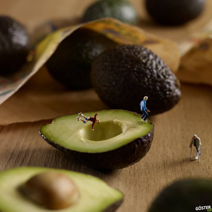 Avocat-1