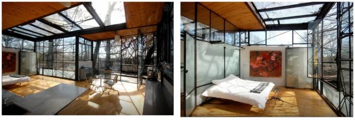 Glass Tree House