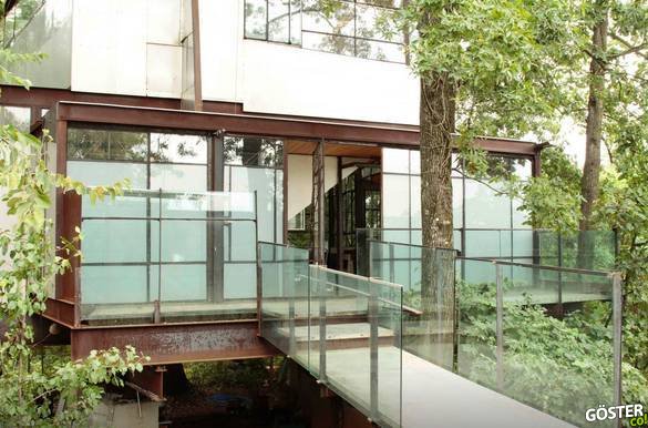 Glass Tree House
