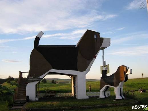 Dog Bark Park Inn B&B