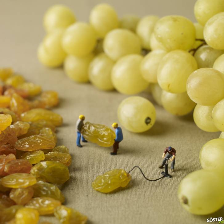 raisin-1