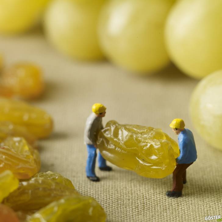 raisin-2
