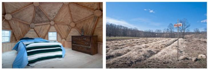 Geodesic Dome