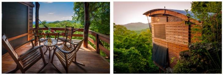 Jungle Tree House