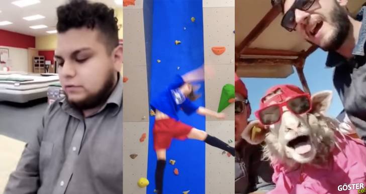 Neşenizi Yerine Getirecek Videolar: İtalyan Keçi, Gerçek Eminem ve 6 Video Daha