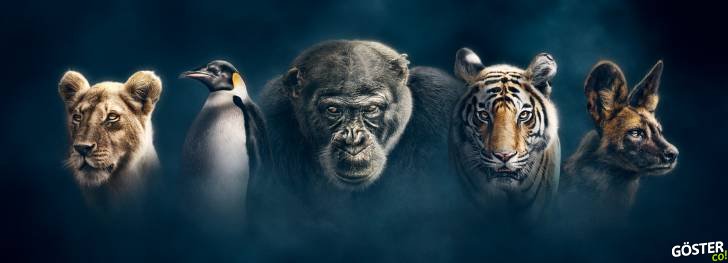 BBC Earth’ün “Hanedanlar” Belgeselinden İlk Görüntüler