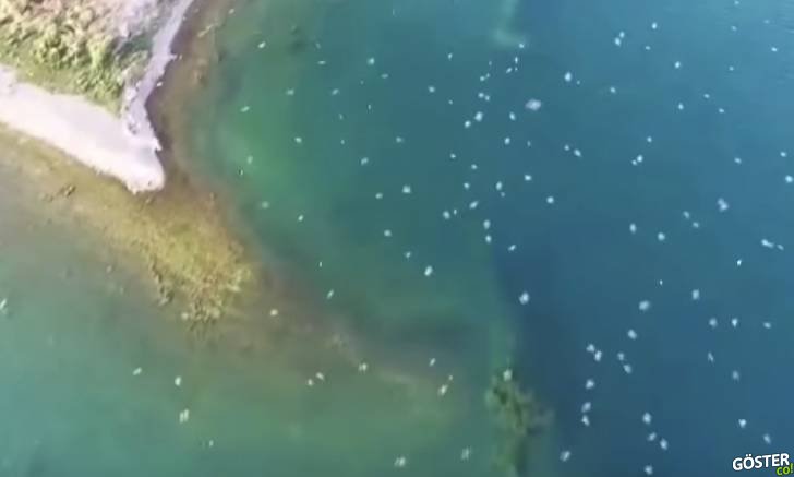 Elazığ’ın Hazar Gölü’nde 11. Yüzyıldan Kalma “Batık Şehir” (4 Bin Yıl Önceden İzler Var)