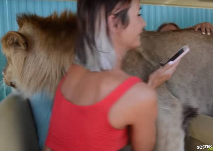 Kendini Muavin Sanan Aslan Tüm Turistleri Araçtan İndirdi