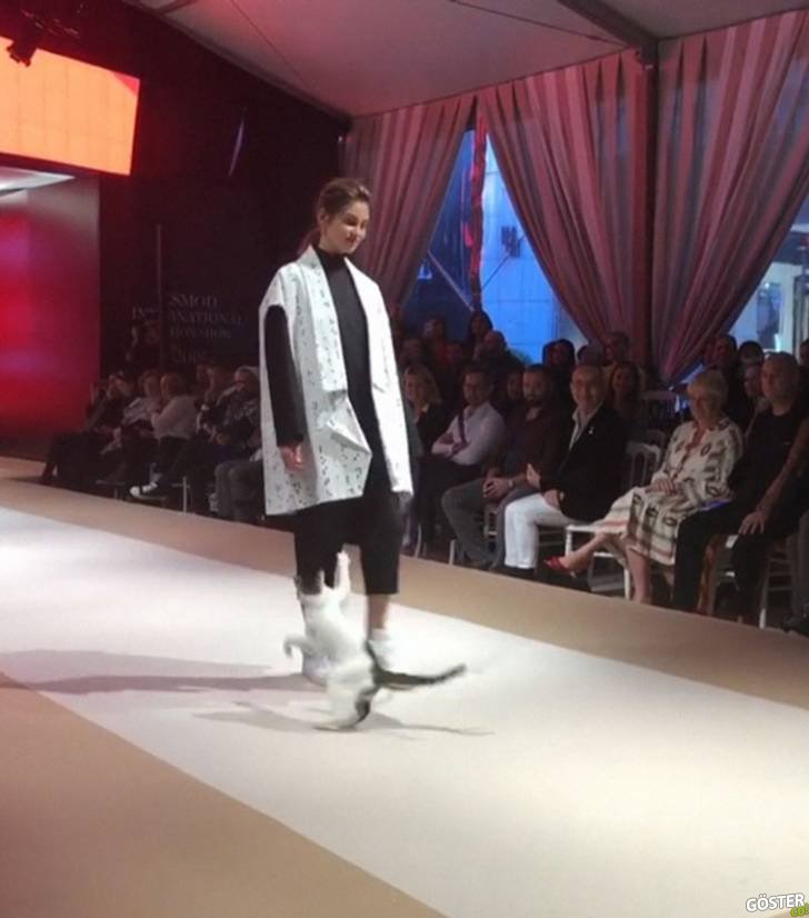 stray-cat-istanbul-fashion-show