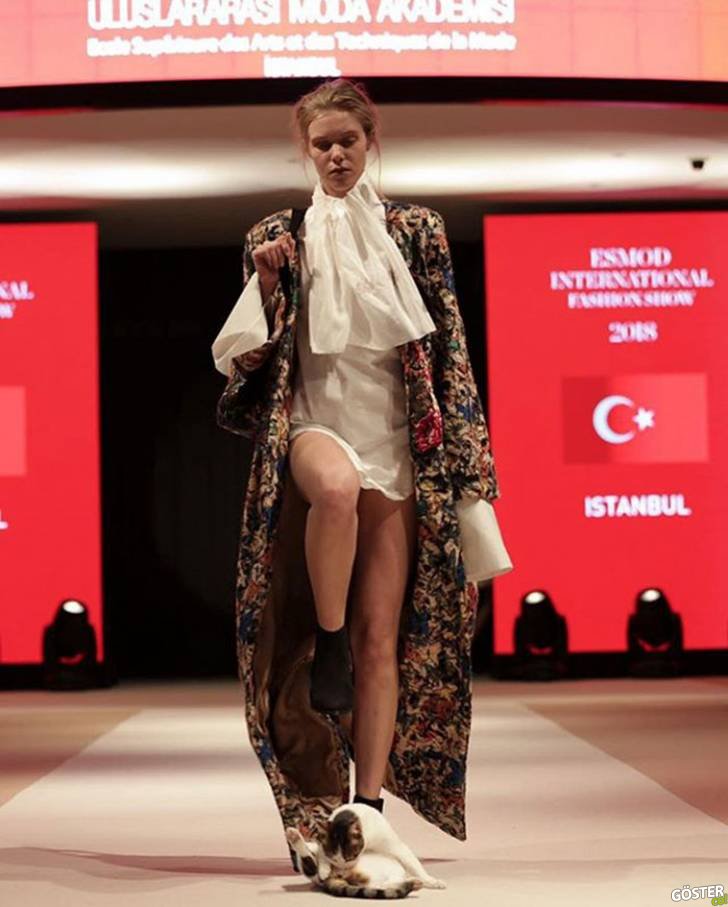 İstanbul’da Bir Moda Gösterisinde Mankenlere Saldıran Kedi