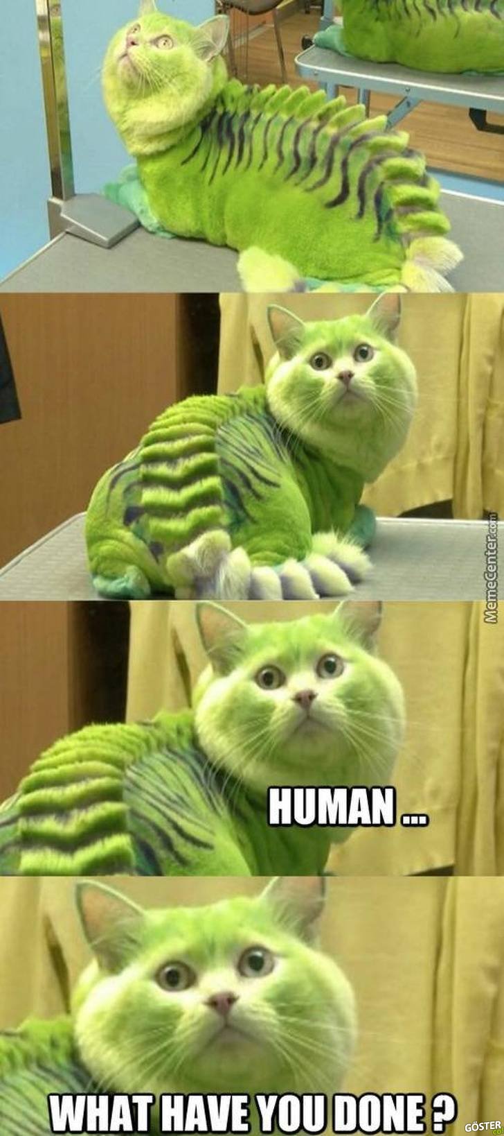 17 Times Pet Haircuts Went So Wrong, It’s Hilarious
