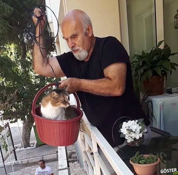 Sokaktan sepete binip evine gelen kedi ve çok normal bir şey yapıyormuş tavırları