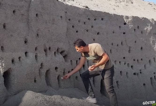 Ayda 100 bin TL zarara uğramalarına rağmen kuşların yuvasını bozmadılar – Diyarbakır