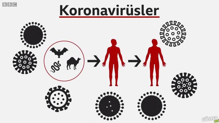 Çin’den dünyaya yayılmakta olan Corona Virüsü nedir, nasıl korunulur?