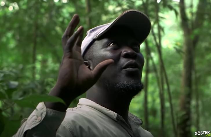 Yangın haberleri içimizi dağlamışken; Uganda’daki bozulmuş bir orman yeniden canlandırıldı