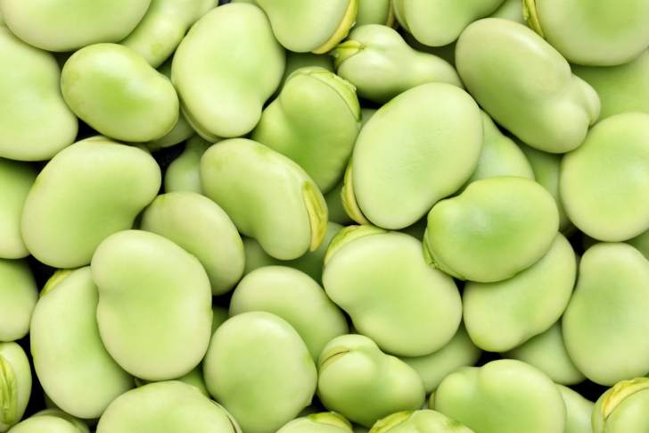 Veganları yakından ilgilendiren gelişme: Bakla çekirdekleri “soya” için daha yeşil bir alternatif olabilir