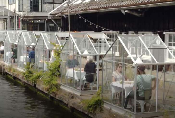 Amsterdam restoranlarında yeni Corona virüs konsepti: Serada yemek