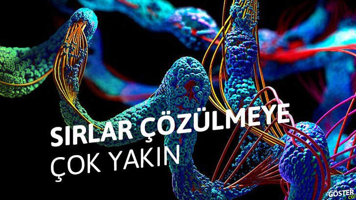 DeepMind’in “yapay zeka biyoloğu” yaşam mekanizmasının sırlarını çözebilir