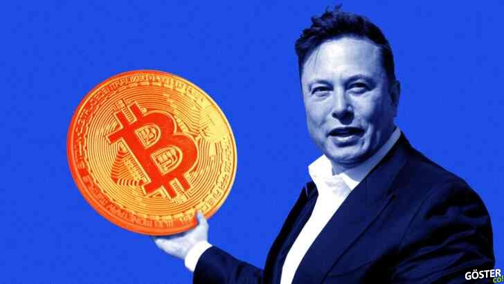 Elon Musk, Bitcoin hakkında tweetleyince BTC satın alan bot geliştirildi