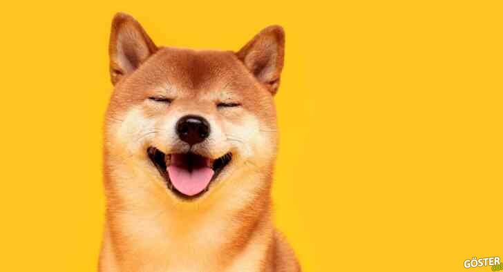 Kripto para birimi Shiba Inu nedir, nereden satın alınır, Binance borsasında var mı?