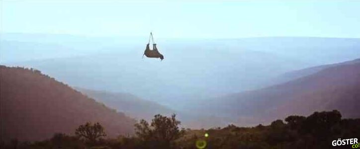 Kara gergedanı helikopterle taşınıyor: WWF, nesli tükenmekte olan türlerden yeni popülasyonlar oluşturmak için taşıyor