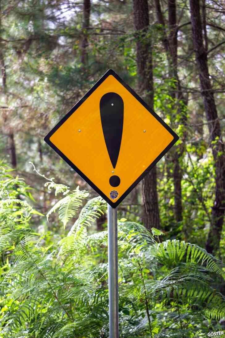 yellow and black road sign