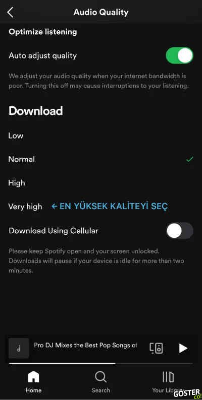 Spotify ses kalitesini ayarlama ve ses yükseltme