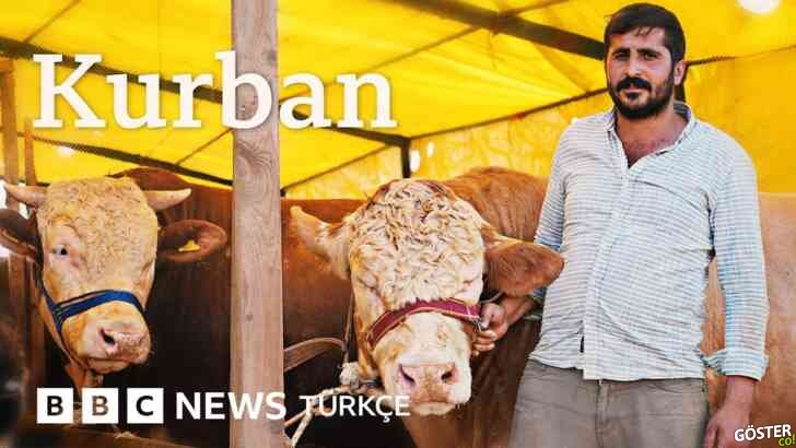 Kurban pazarında bir gün: “Çobanlara kız vermiyorlar”